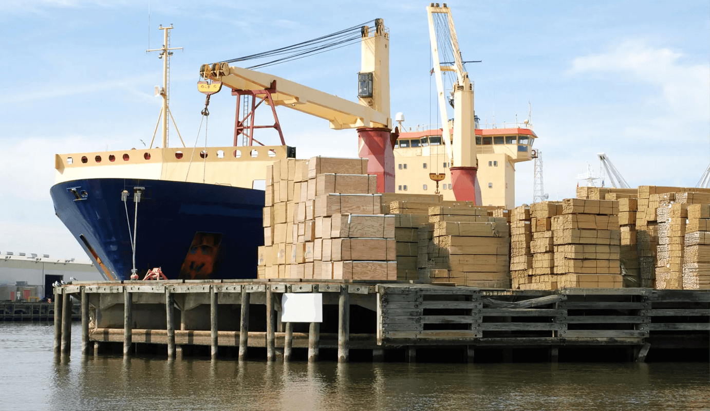 Gemi ve Yük Operatörlüğü